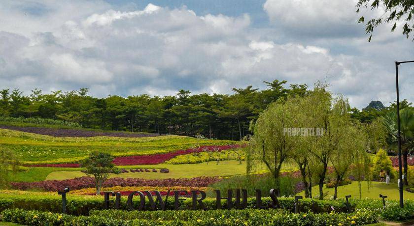 Photo of Outdoor in Pancawati