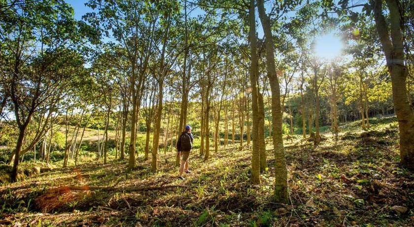 Photo of Others in Pacuare Reserve