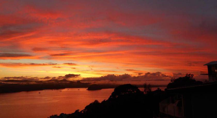 Photo of Others in Paihia