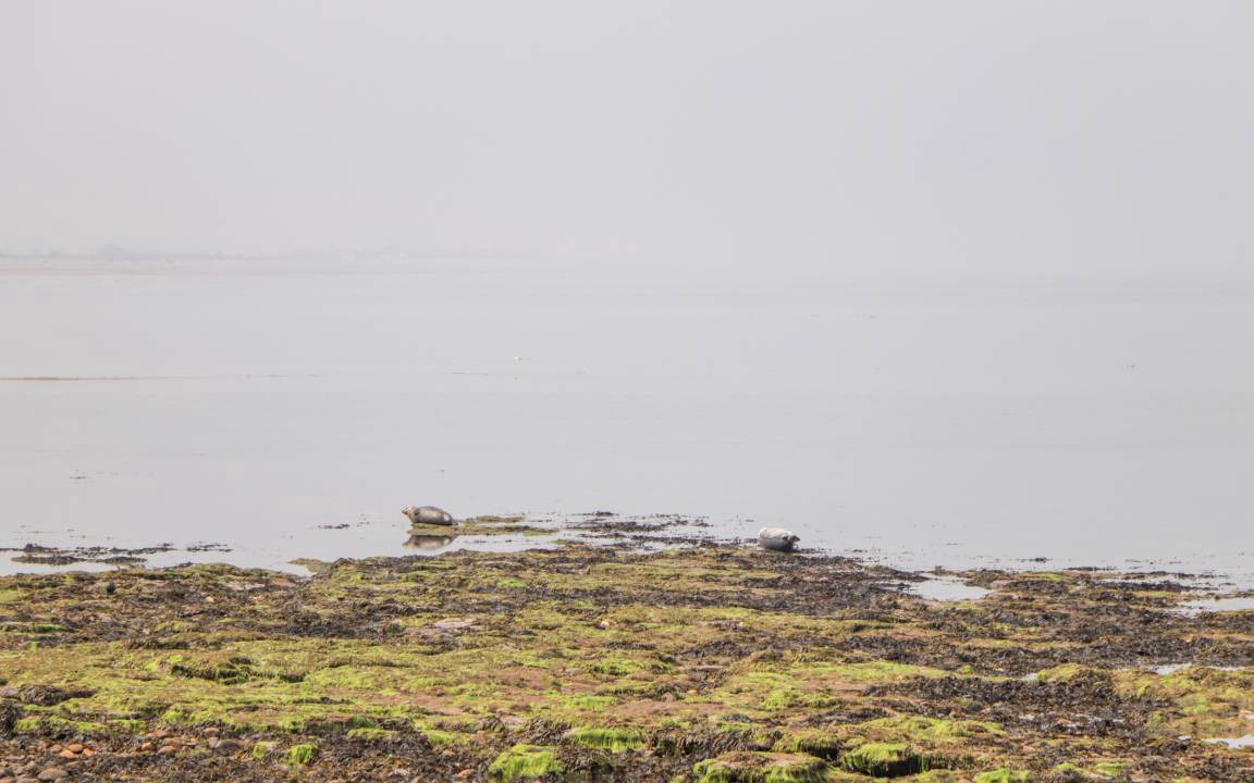 Photo of Others in Buckie