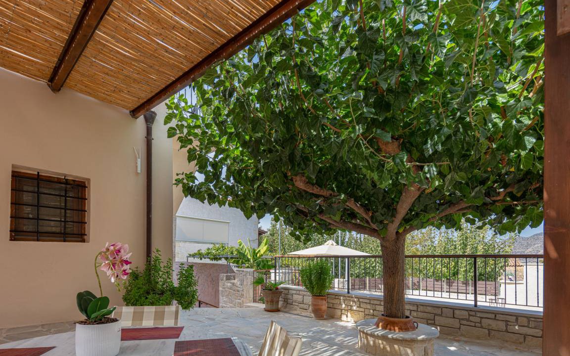 Photo of Others in Mylopotamos