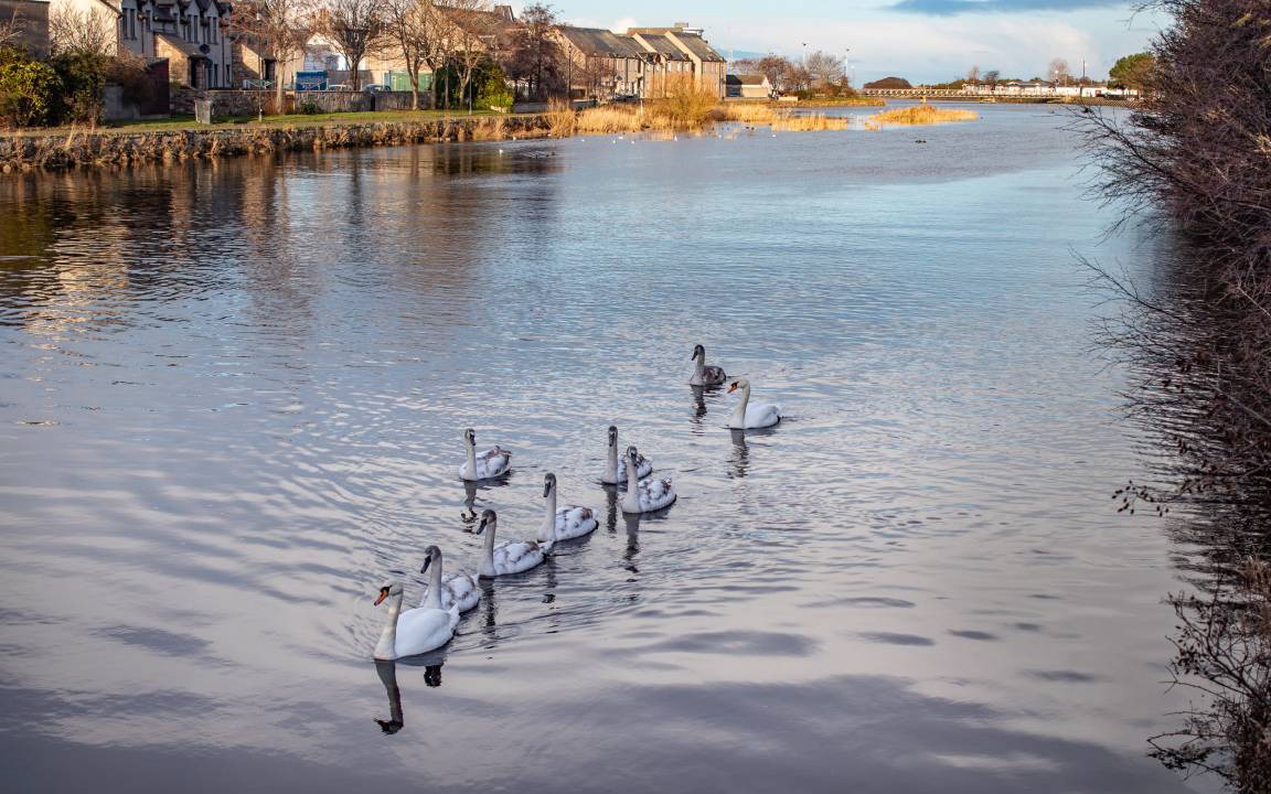 Photo of Others in Nairn