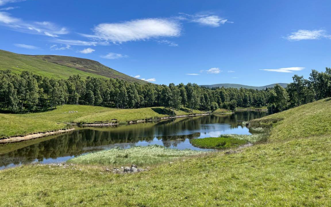 Photo of Others in Clova