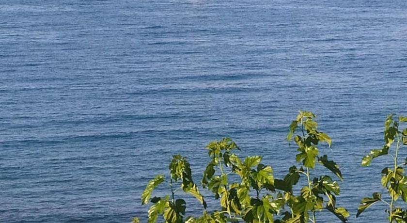 Photo of Outdoor in Stalida