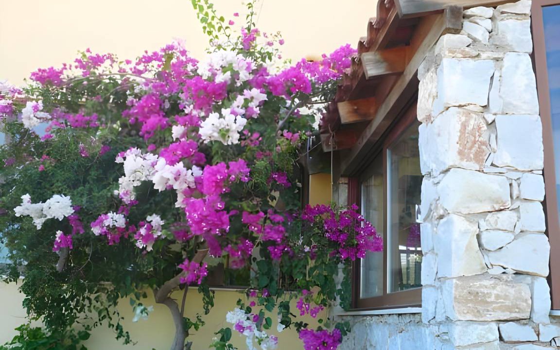 Photo of Others in Gialos