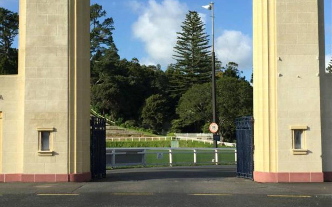 Photo of Others in New Plymouth CBD
