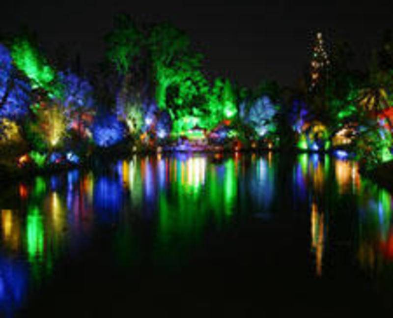 Photo of Others in New Plymouth