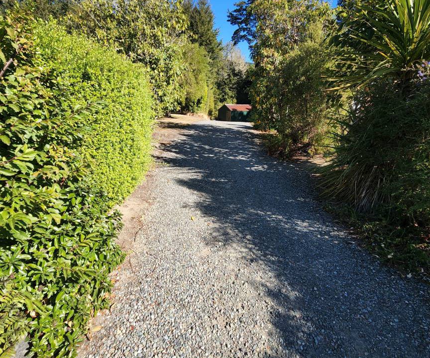 Photo of Others in Manapouri
