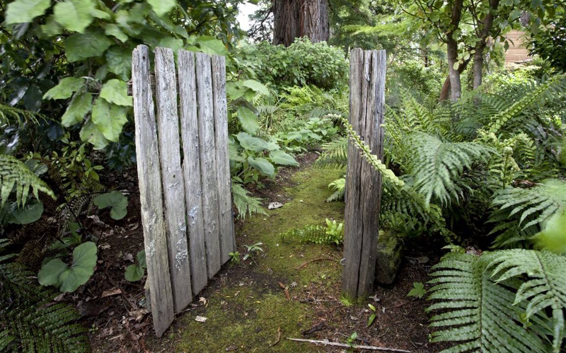 Photo of Others in Turangi