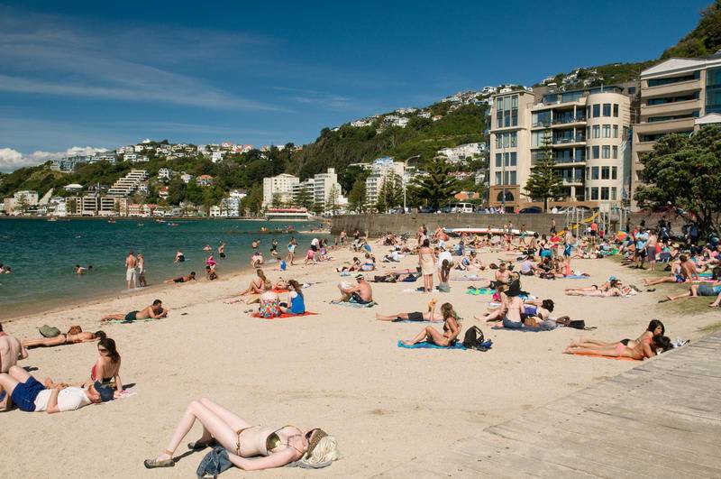 Photo of Others in Wellington