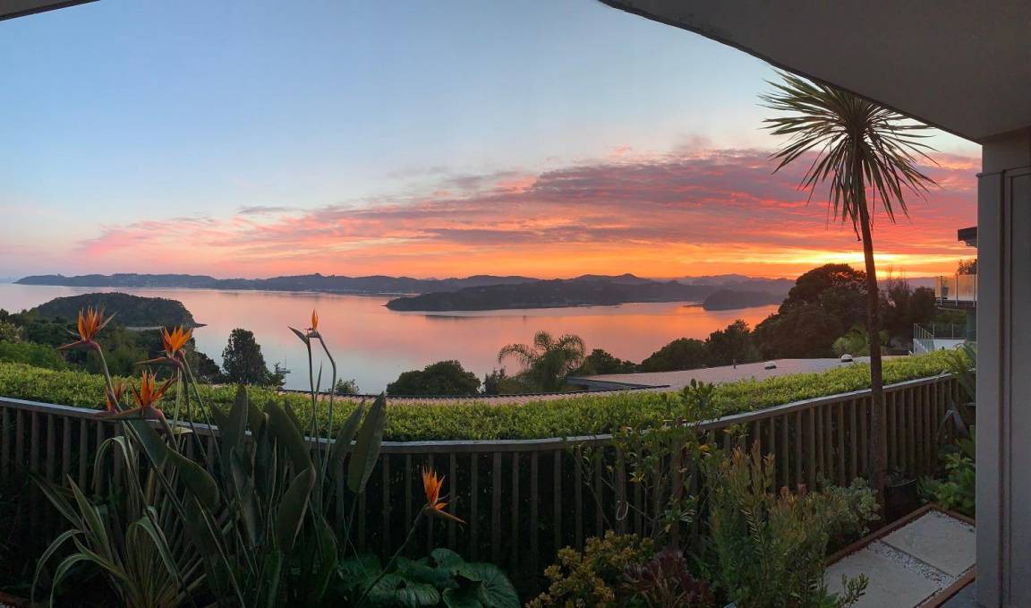 Photo of Others in Paihia