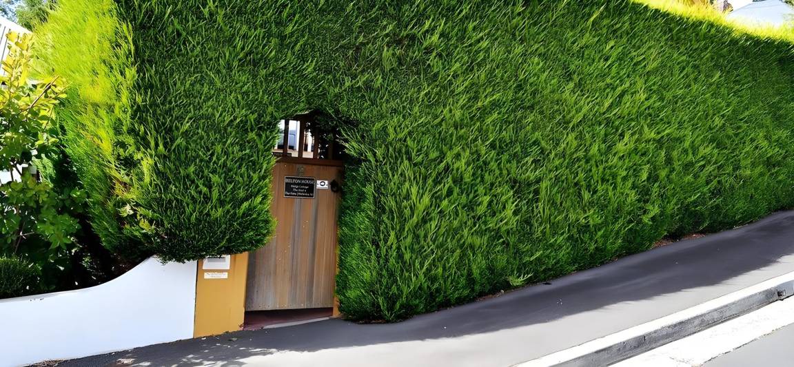 Photo of Others in South Hobart