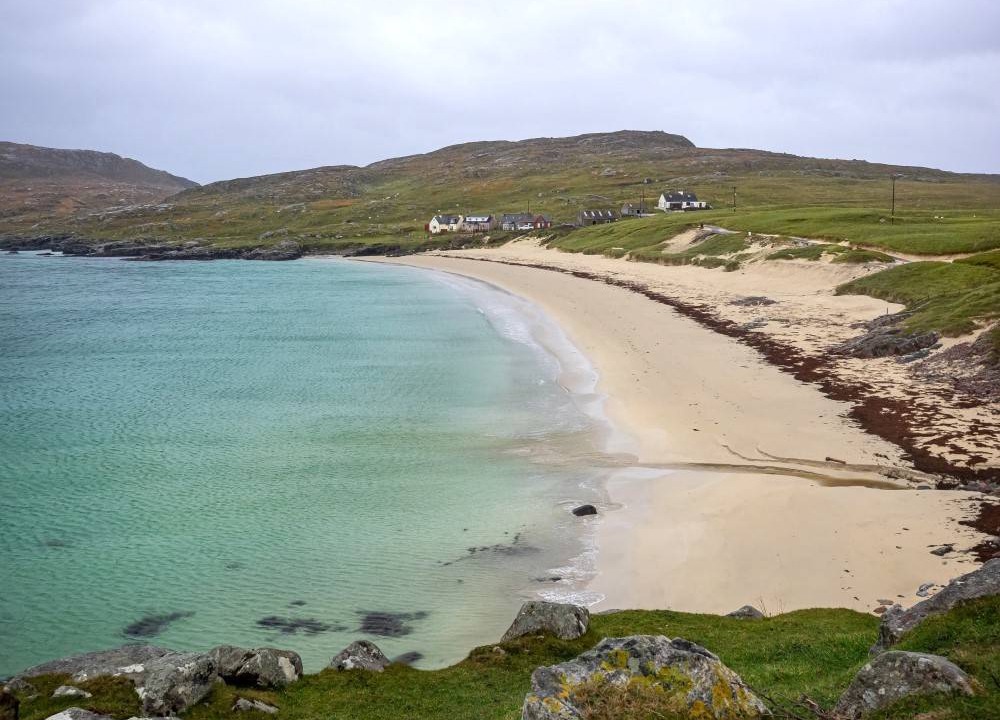 Photo of Others in Harris