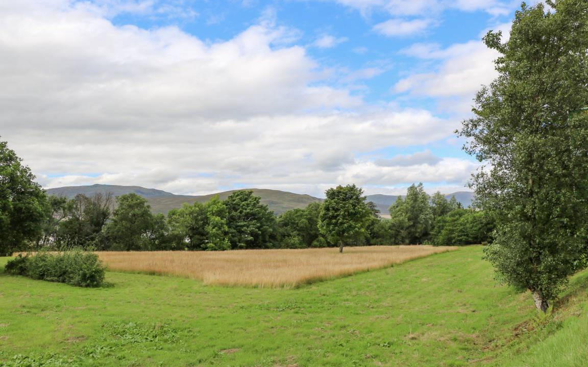 Photo of Others in Fort William