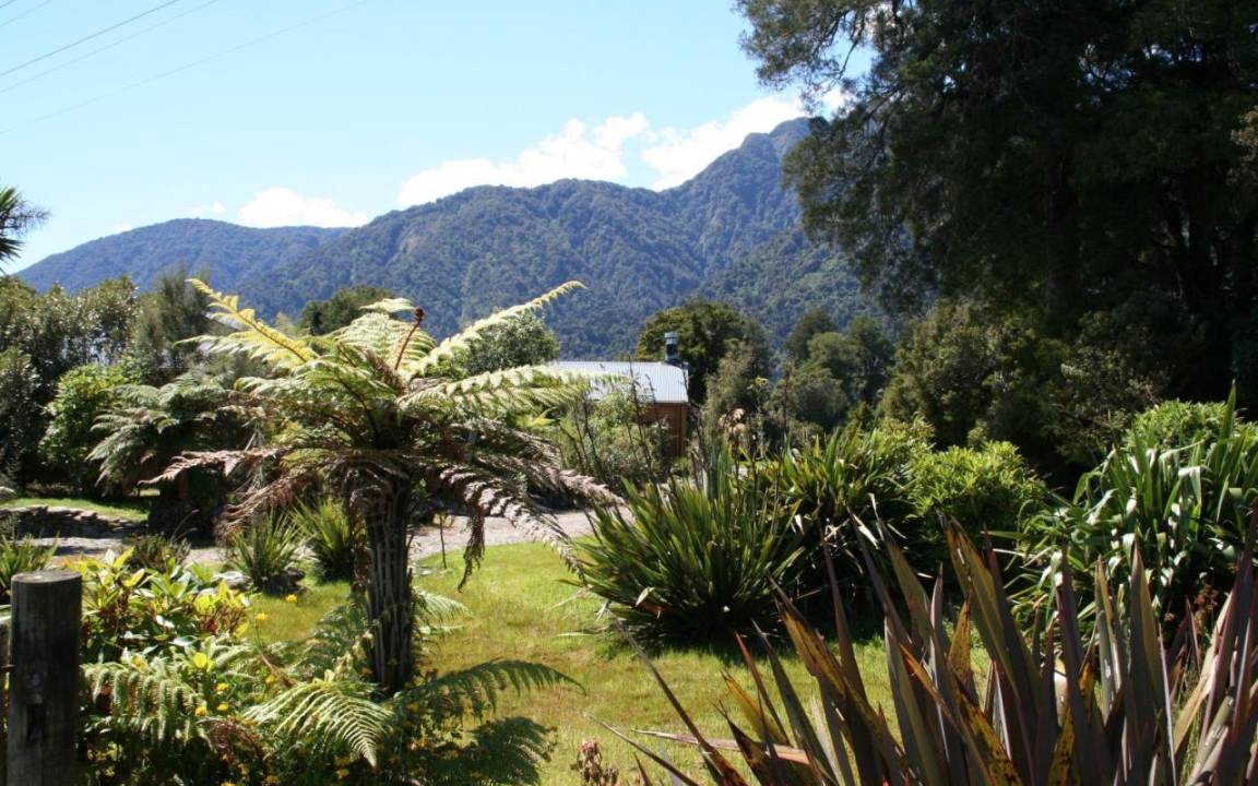 Photo of Others in Franz Josef Glacier