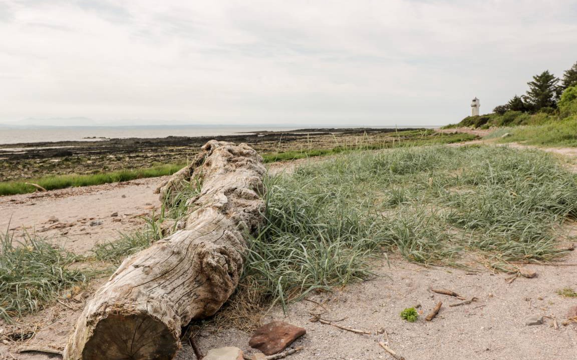 Photo of Others in Southerness