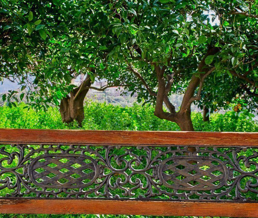 Photo of Others in Mylopotamos