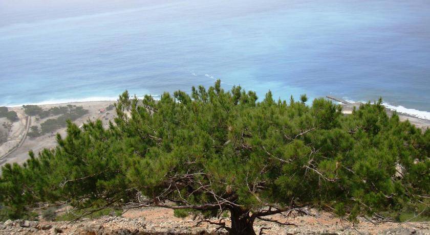 Photo of Others in Agia Roumeli