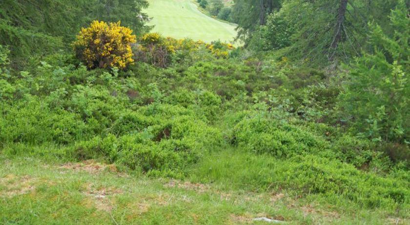 Photo of Outdoor in Dufftown