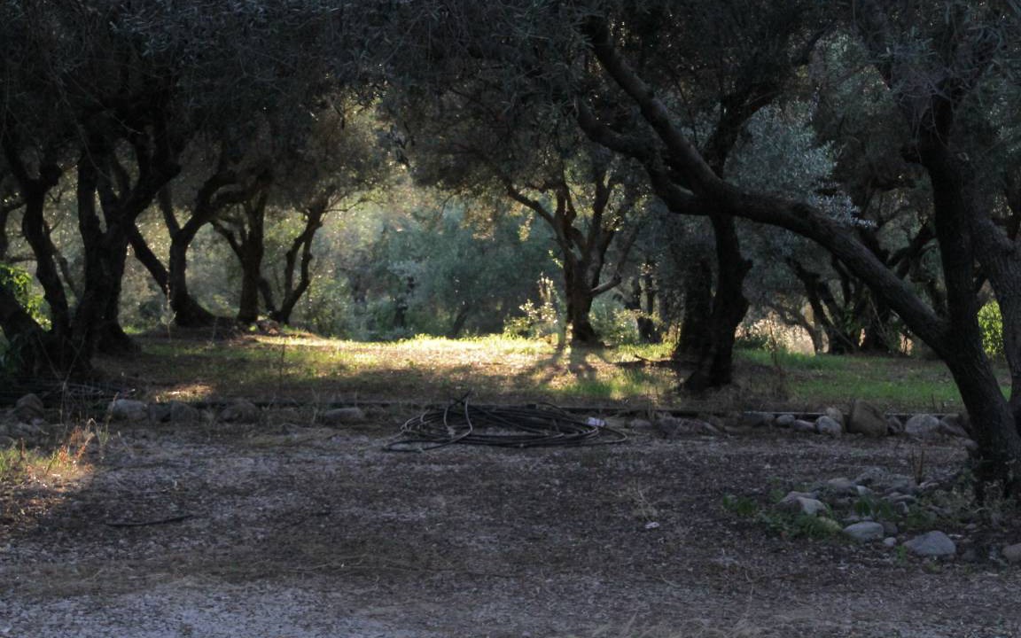 Photo of Others in Galatas