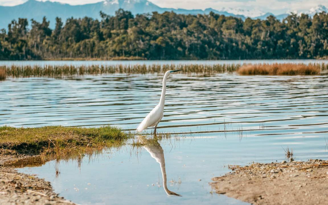 Photo of Outdoor in Hokitika