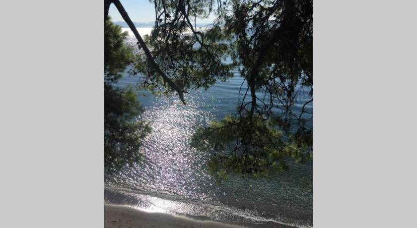 Photo of Others in Paradise Beach