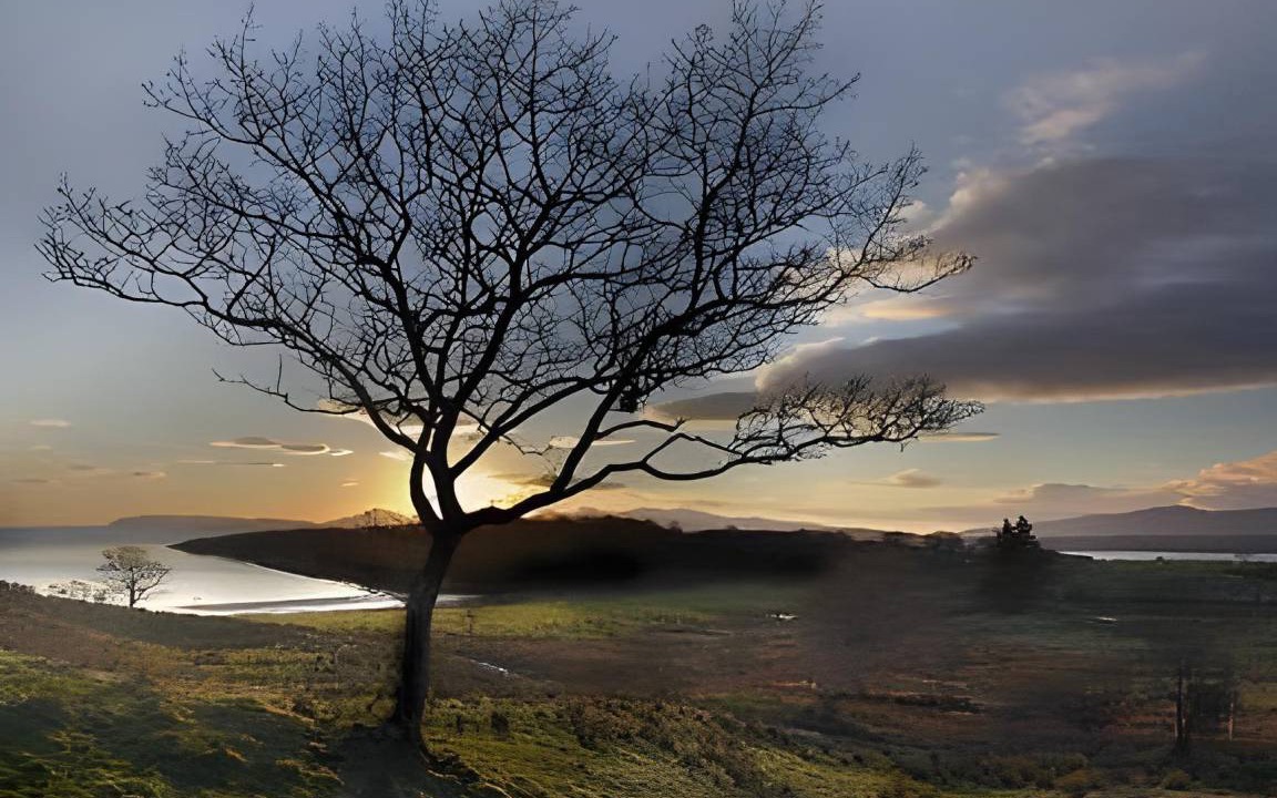 Photo of Others in Benderloch