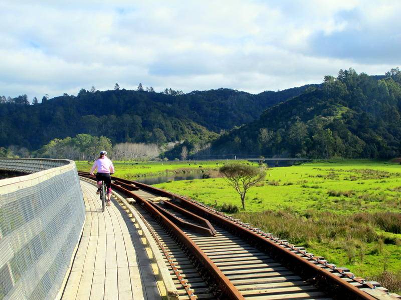 Photo of Others in Paihia