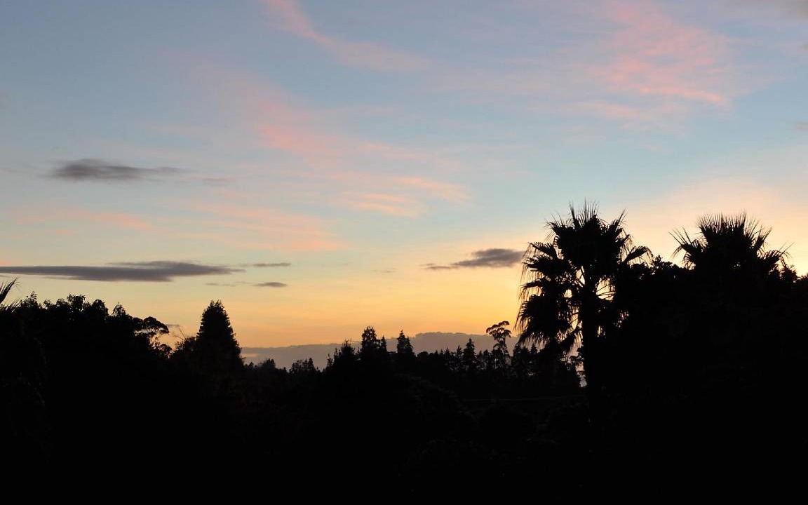Photo of Others in Kerikeri