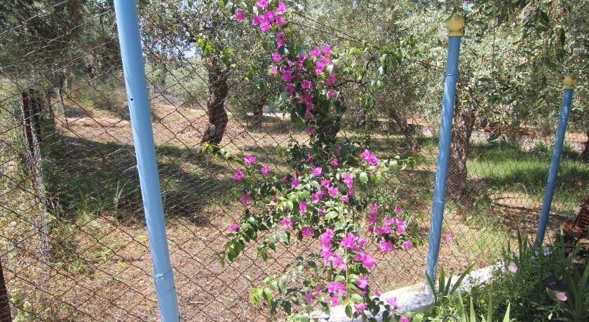 Photo of Others in Skala Kallirachis