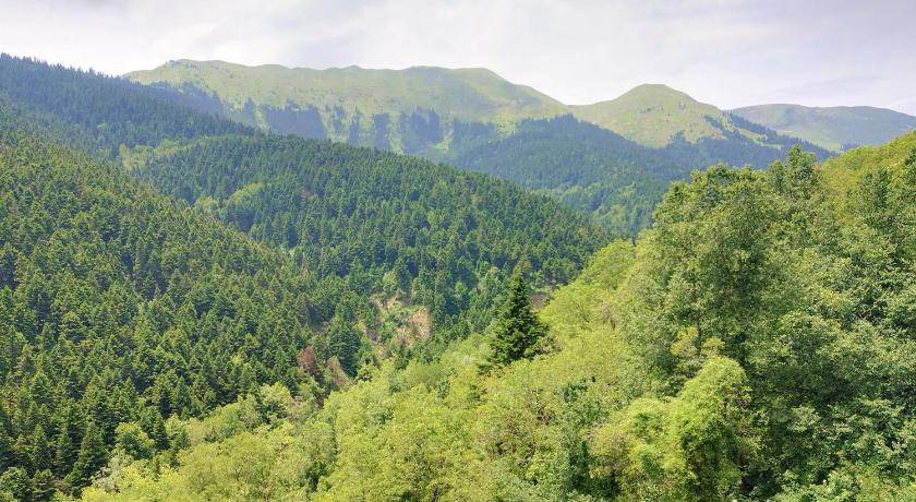 Photo of Others in Lake Plastiras