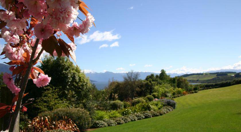Photo of Others in Te Anau