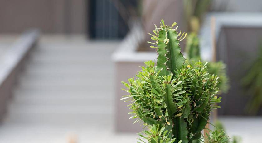 Photo of Others in Kallikratia