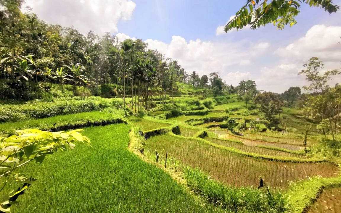 Photo of Others in Kecamatan Suralaga