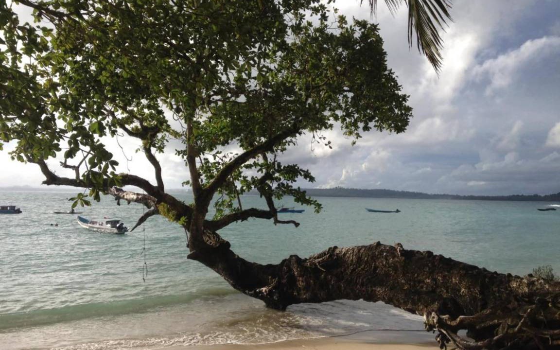 Photo of Others in Pulau Masokut