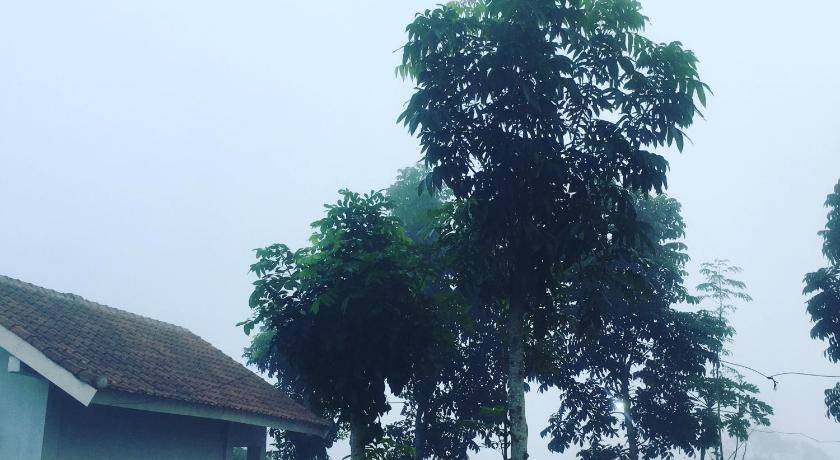 Photo of Others in Kecamatan Praya Barat Daya