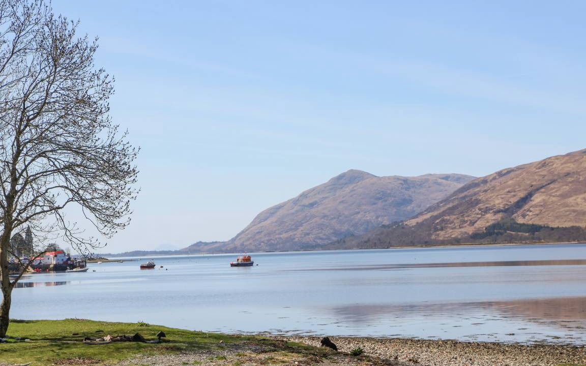 Photo of Others in Fort William