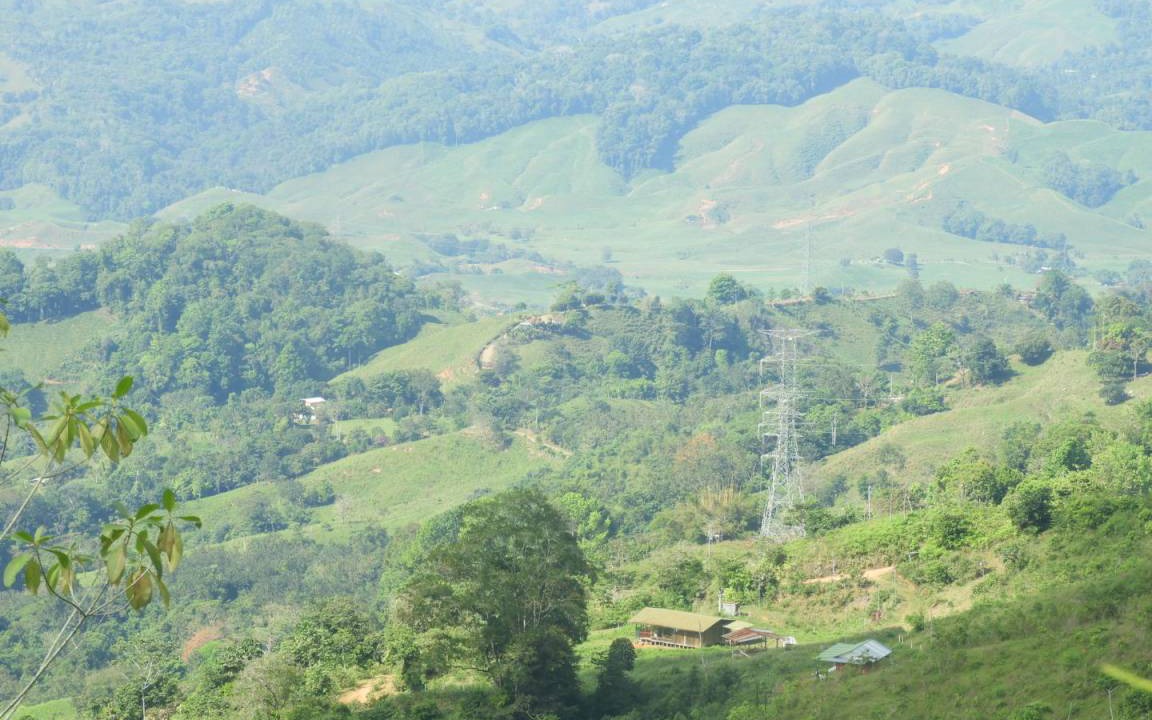 Photo of Others in Baru
