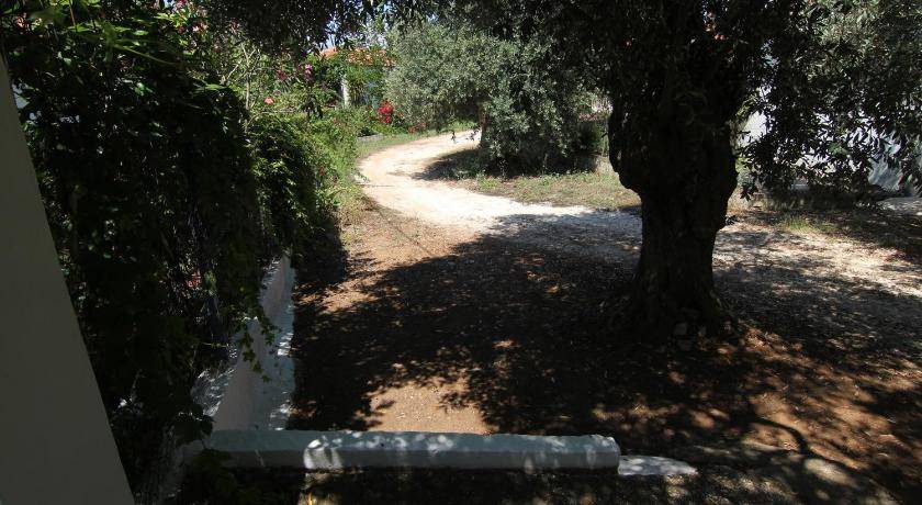 Photo of Others in Skala Kallirachis