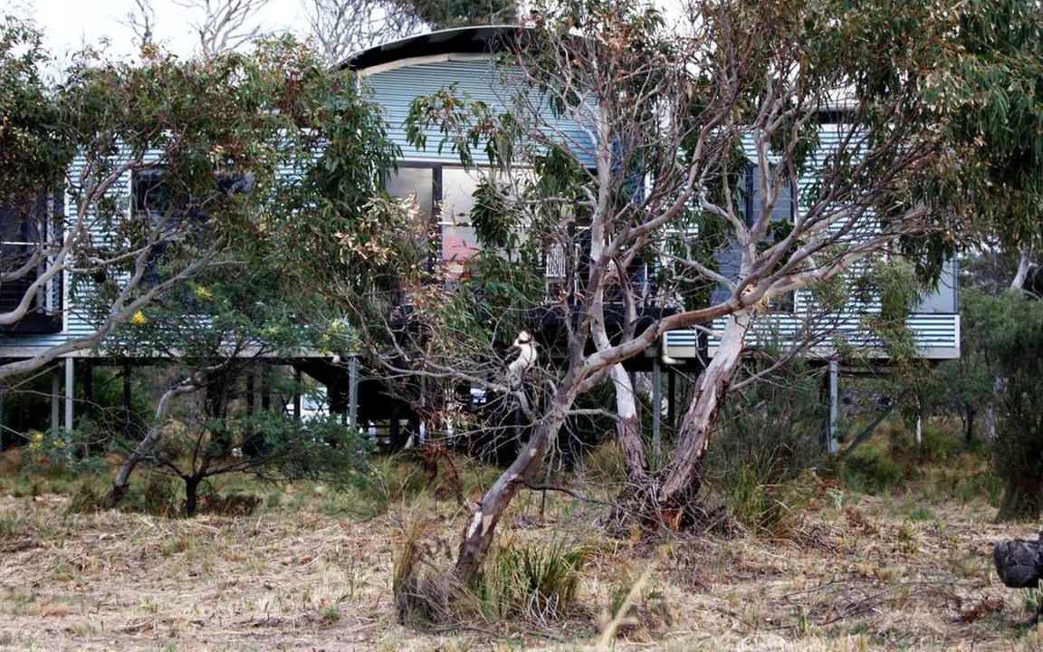 Photo of Others in Dolphin Sands