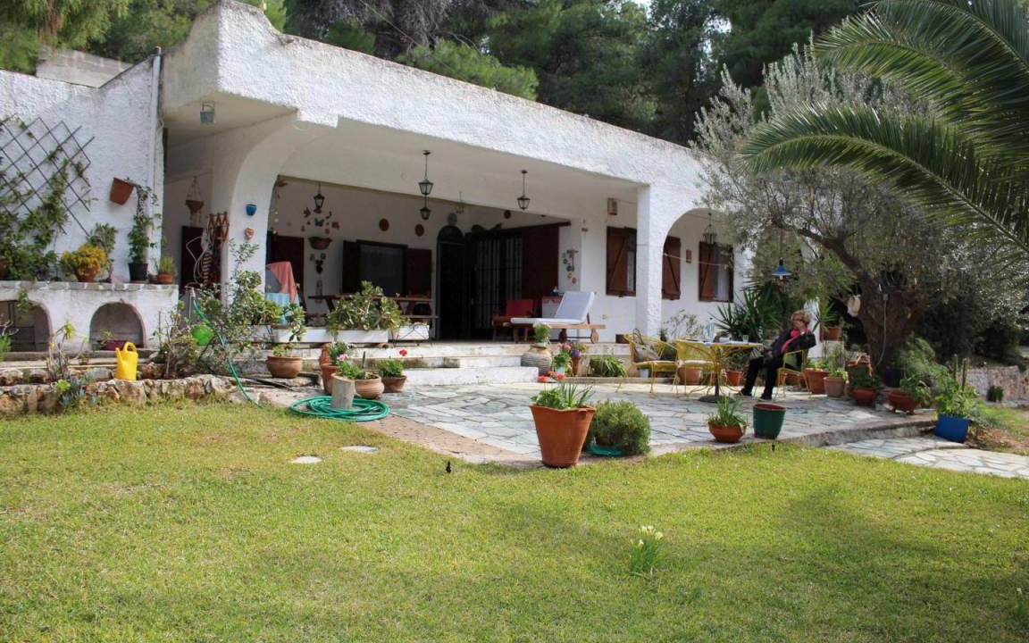 Photo of Others in Katakali