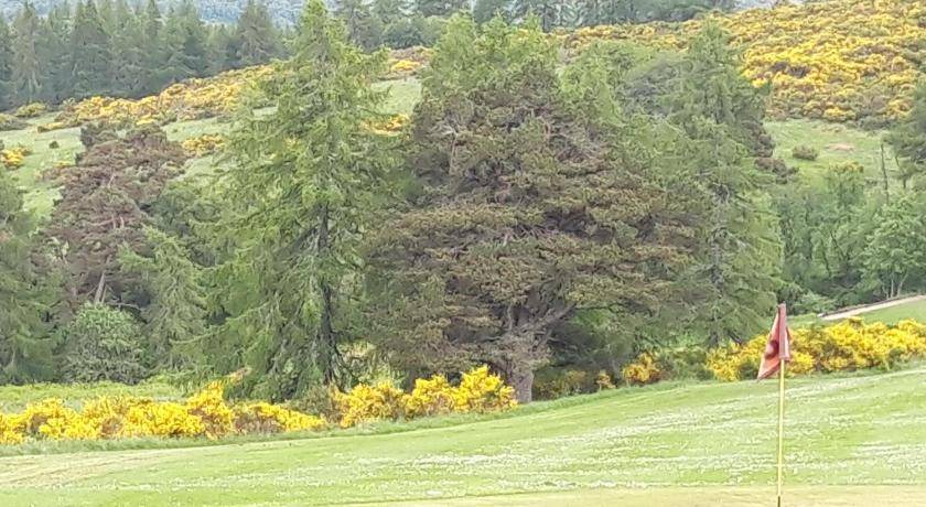 Photo of Others in Dufftown