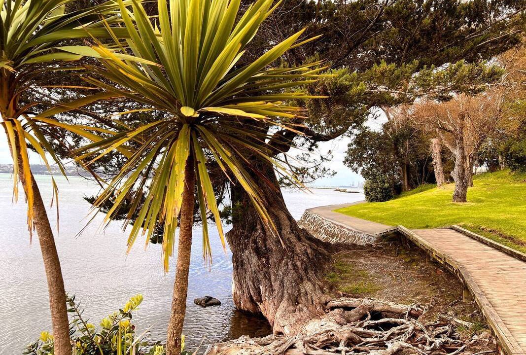 Photo of Others in Te Atatu Peninsula