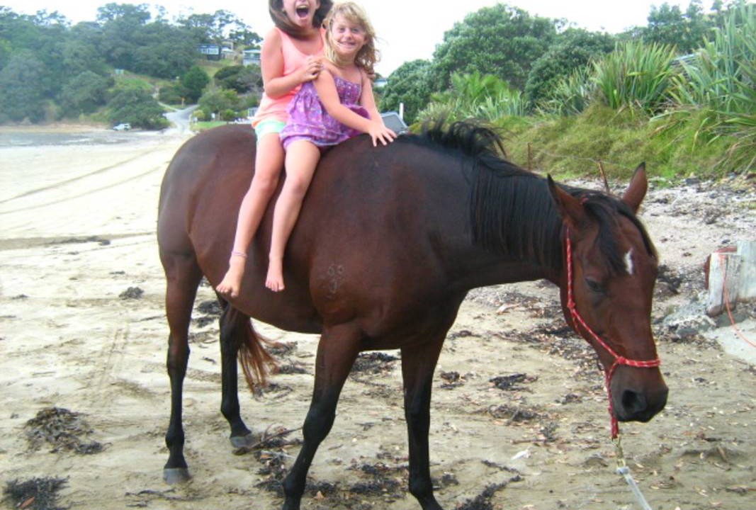 Photo of Others in Cockle Bay