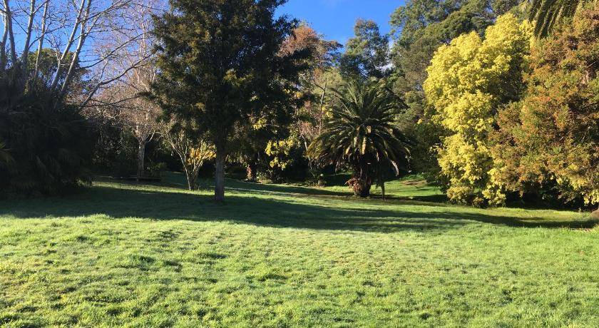 Photo of Others in Te Puia