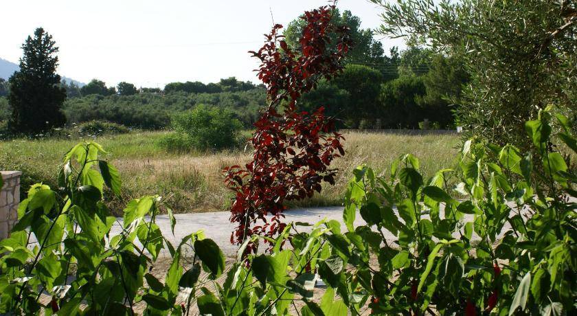 Photo of Others in Ano Vasilikos