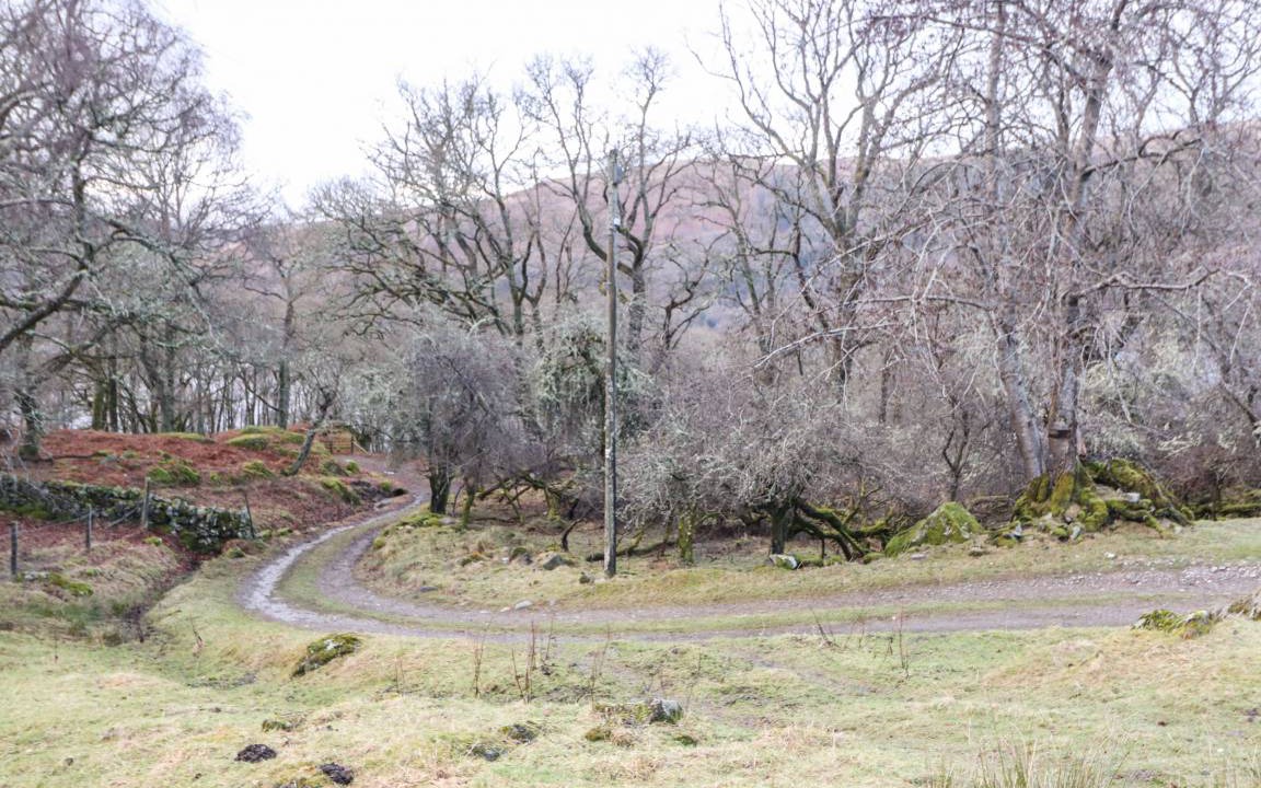 Photo of Others in Lochearnhead