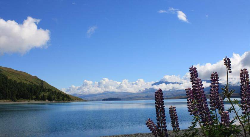Photo of Others in Lake Tekapo