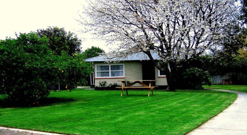 Photo of Others in Tahunanui
