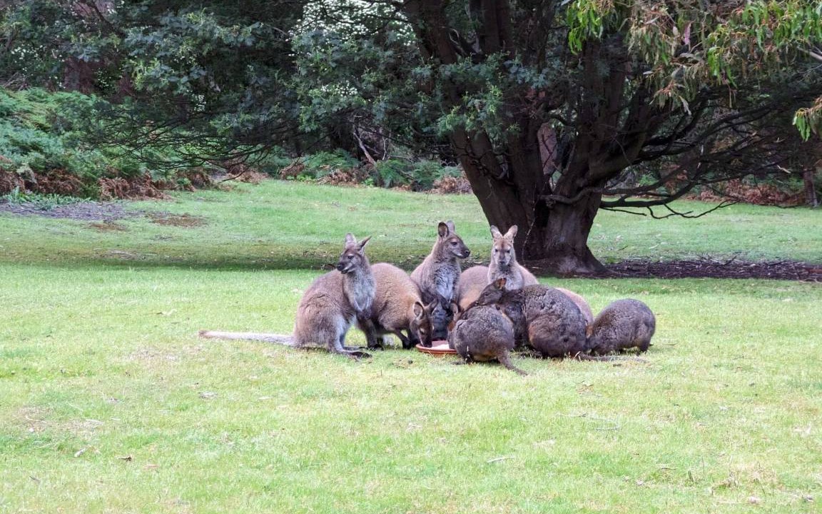 Photo of Others in Glenfern